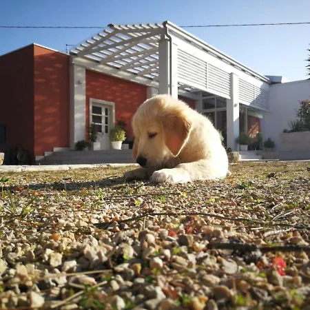 Loggia Dei Lezzi Panzió