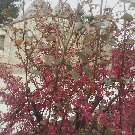 Panzió Loggia Dei Lezzi