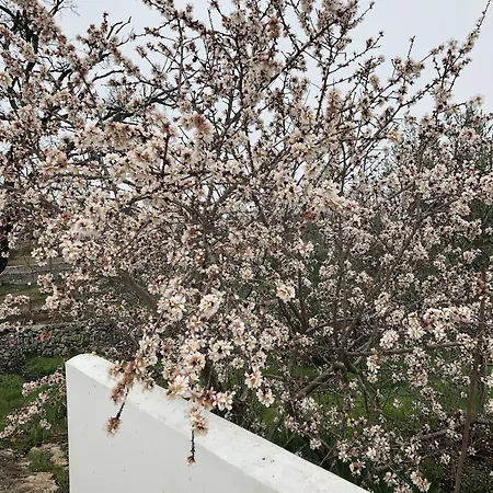 Panzió Loggia Dei Lezzi Noci