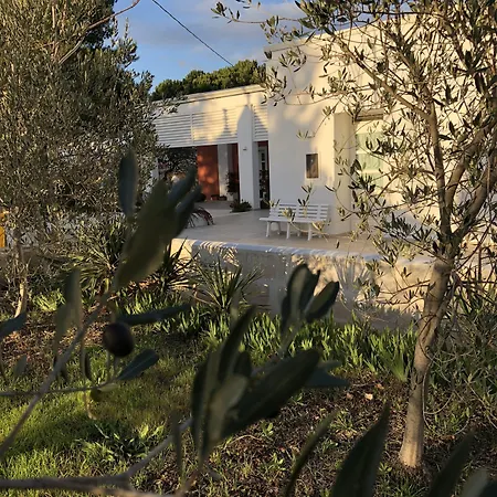 Loggia Dei Lezzi 3* Νότσι