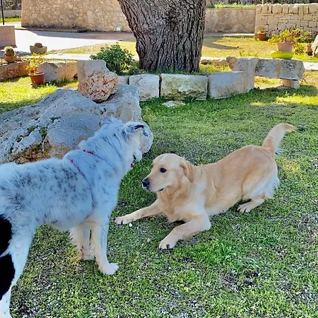 Loggia Dei Lezzi Νότσι
