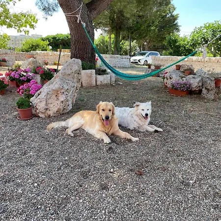 Loggia Dei Lezzi 3* Νότσι