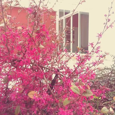 Bed and Breakfast Loggia Dei Lezzi 3*