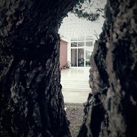 Loggia Dei Lezzi 3* Νότσι