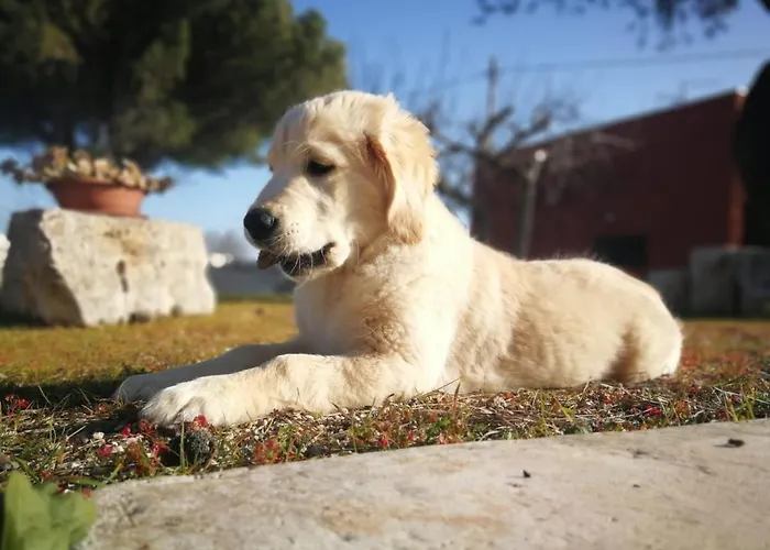 Loggia Dei Lezzi לינה וארוחת בוקר