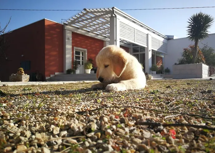 Loggia Dei Lezzi לינה וארוחת בוקר