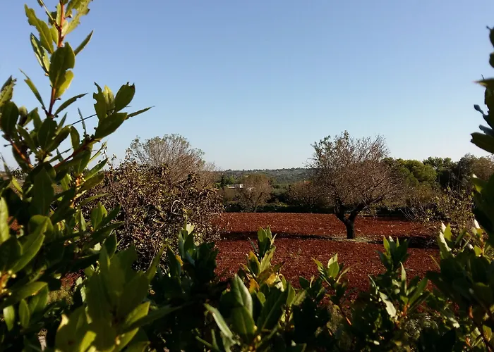 לינה וארוחת בוקר Loggia Dei Lezzi נוצ'י