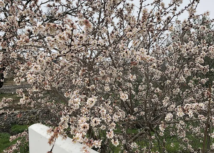 לינה וארוחת בוקר Loggia Dei Lezzi נוצ'י