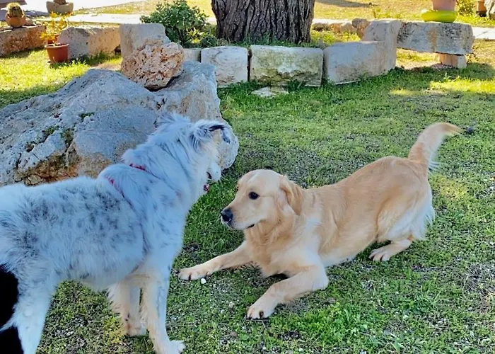 Loggia Dei Lezzi נוצ'י