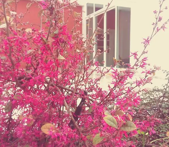 לינה וארוחת בוקר Loggia Dei Lezzi 3*